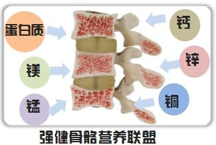 強健骨骼.jpg